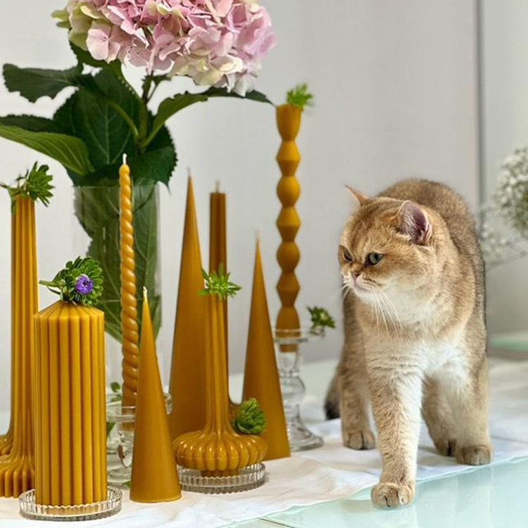 50 candles / week